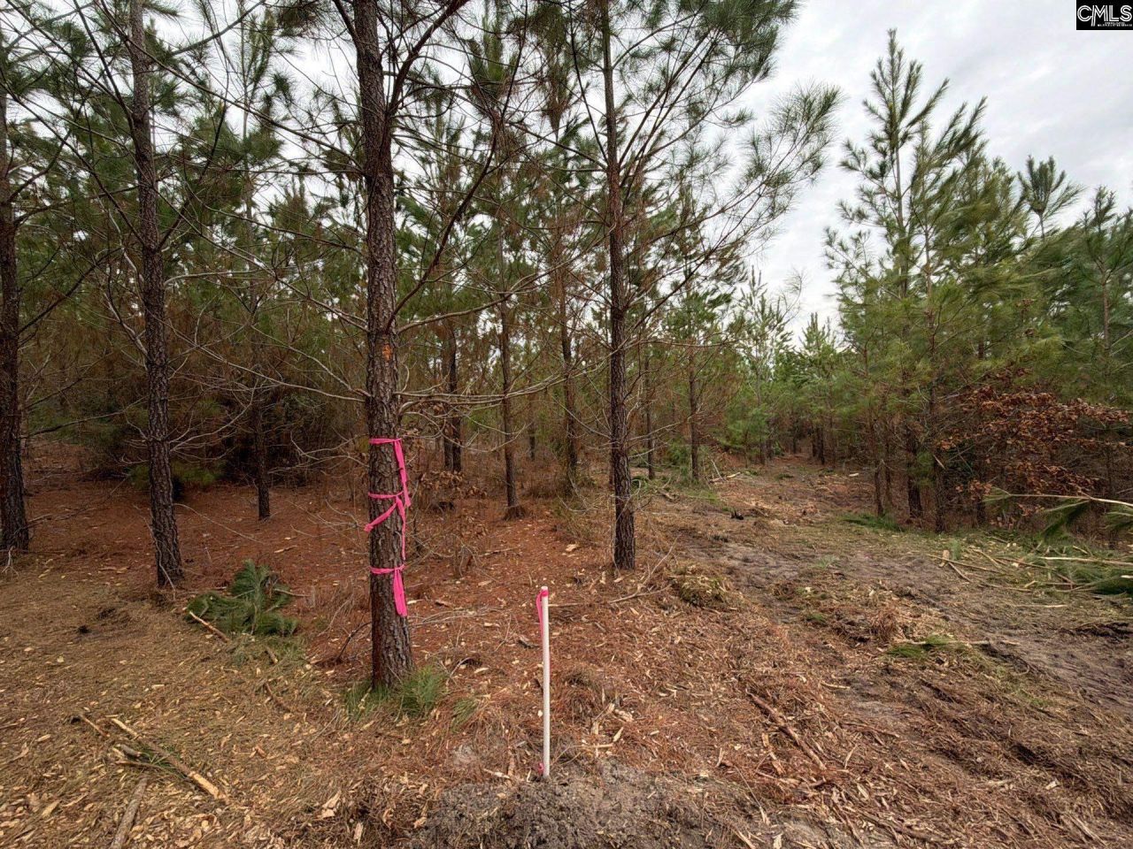 Bff II 4 Jc Barefoot Road Photo 31