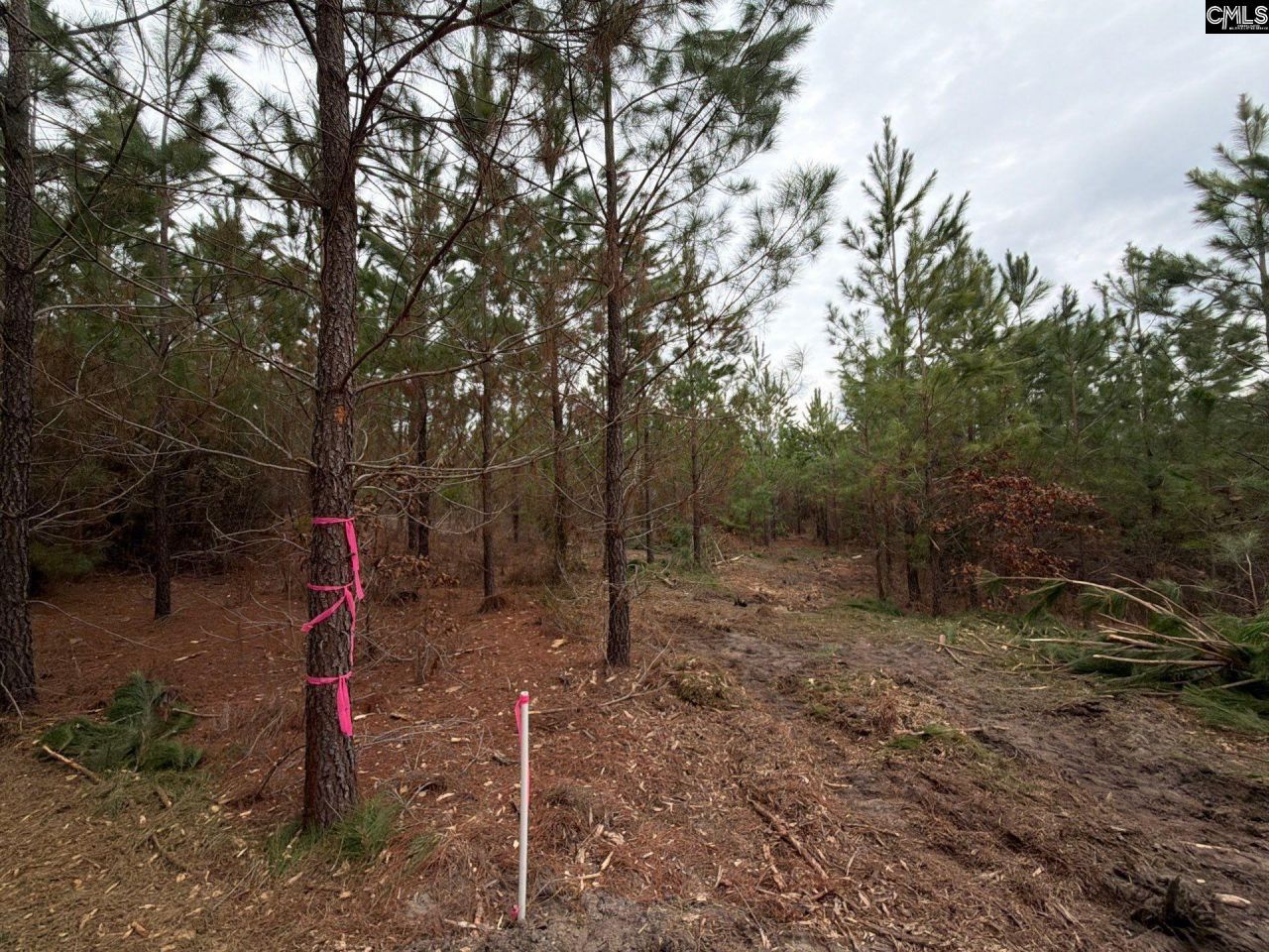 Bff II 4 Jc Barefoot Road Photo 32