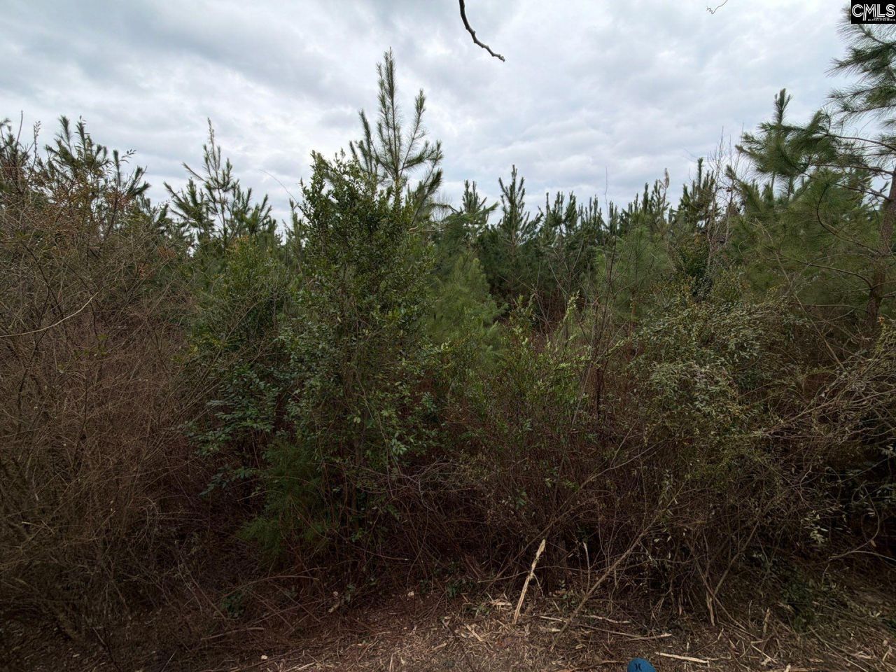 Bff II 4 Jc Barefoot Road Photo 4