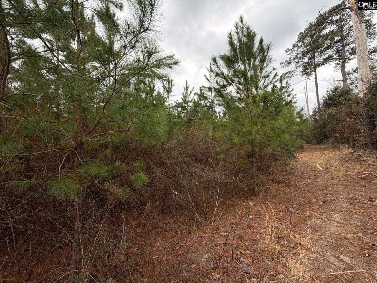 Bff II 4 Jc Barefoot Road Photo 5