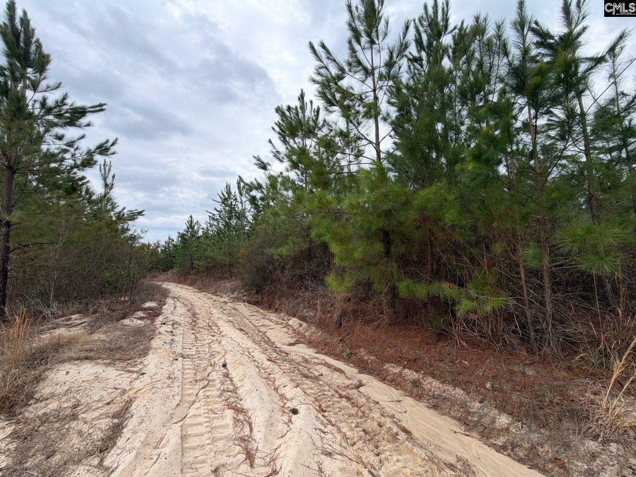 Bff II 4 Jc Barefoot Road Photo 6