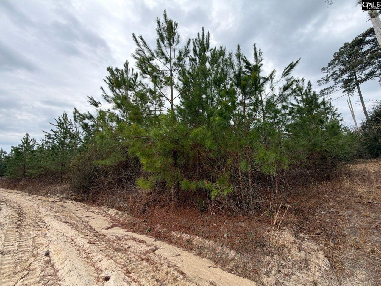 Bff II 4 Jc Barefoot Road Photo 7