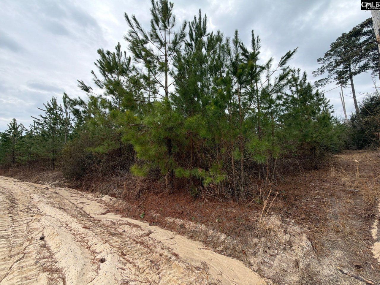 Bff II 4 Jc Barefoot Road Photo 8