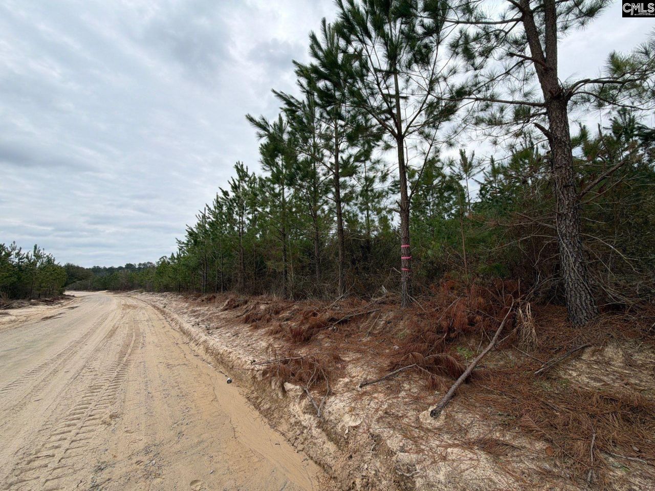 Bff II 4 Jc Barefoot Road Photo 9