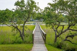 510 Traders Alley photo 4