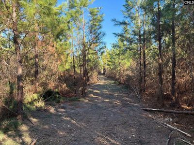 BFF II 6 Brunson Teal Road, Patrick, SC 29854