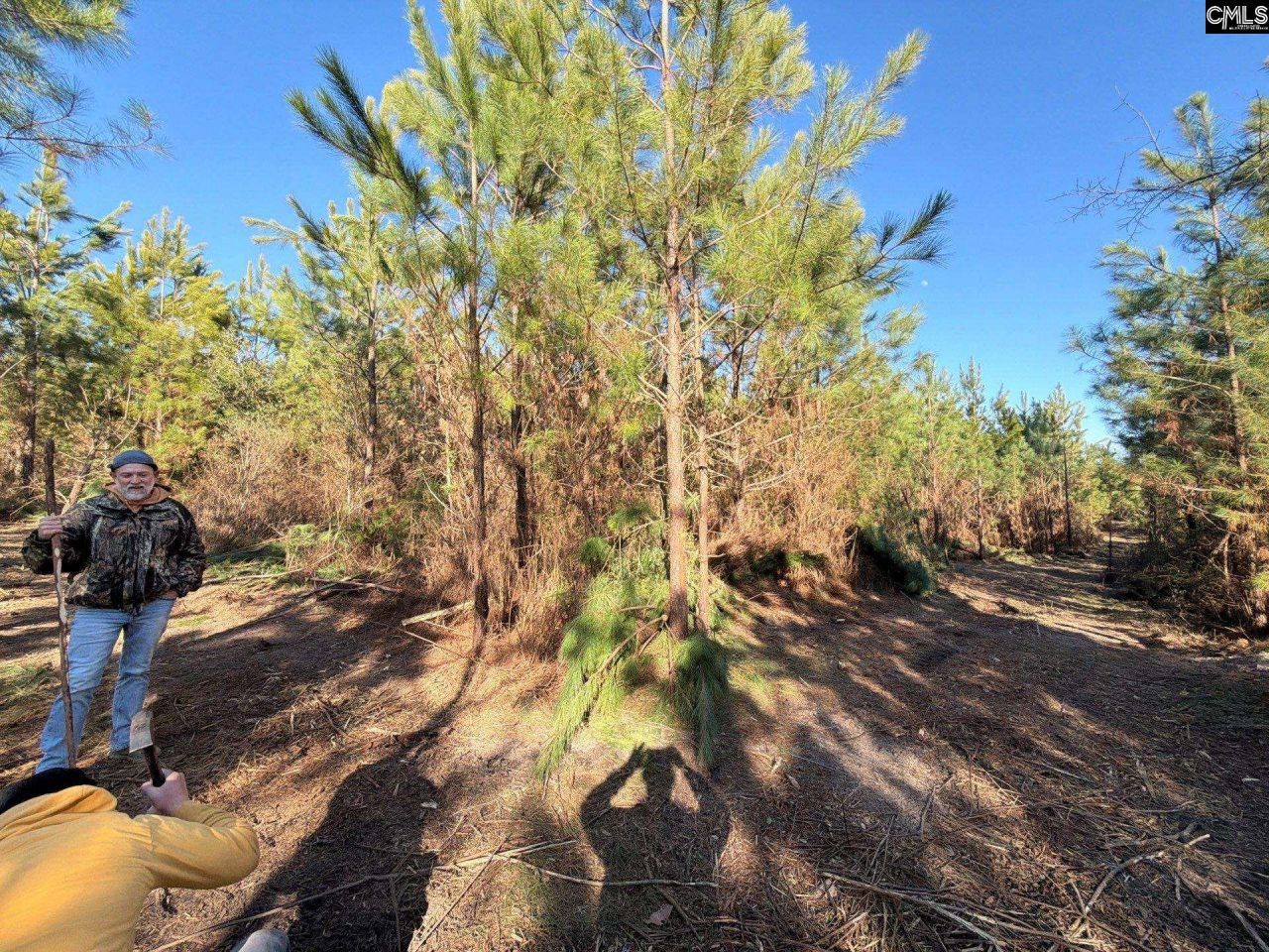 Bff II 6 Brunson Teal Road Photo 10