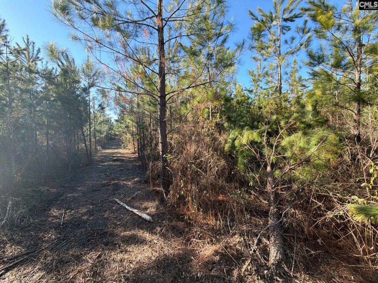 Bff II 6 Brunson Teal Road Photo 11