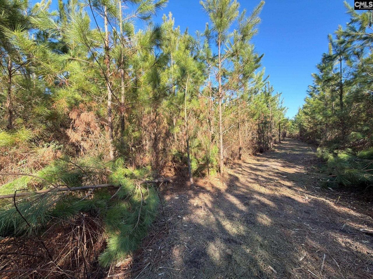 Bff II 6 Brunson Teal Road Photo 12