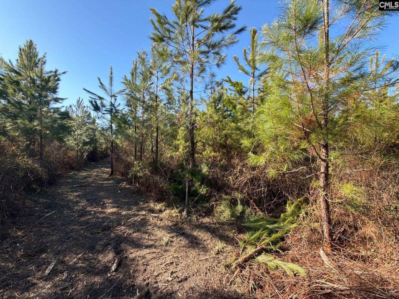 Bff II 6 Brunson Teal Road Photo 13