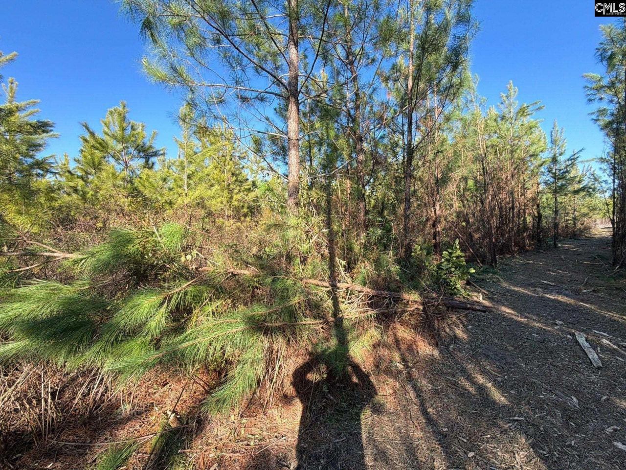 Bff II 6 Brunson Teal Road Photo 15