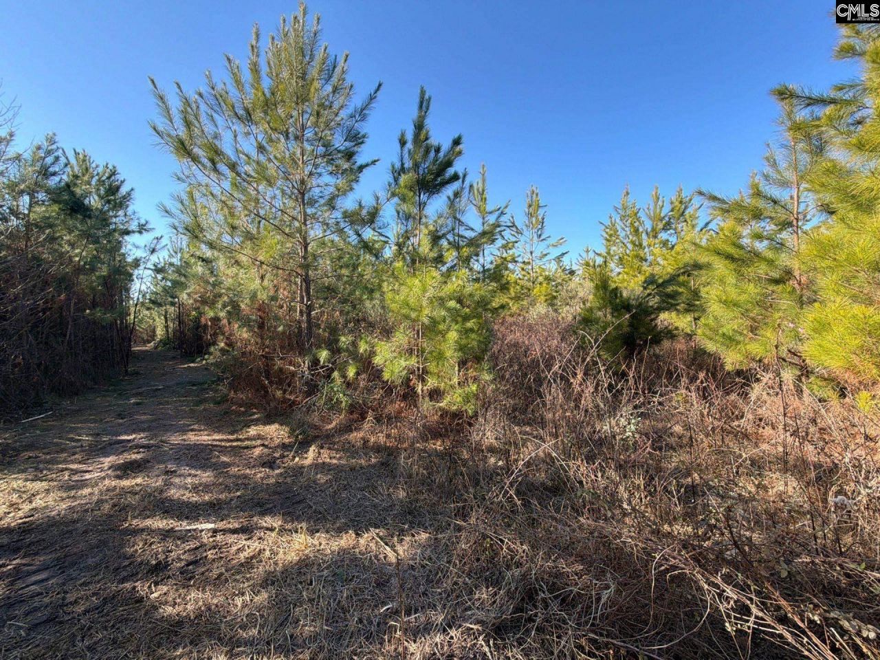 Bff II 6 Brunson Teal Road Photo 16