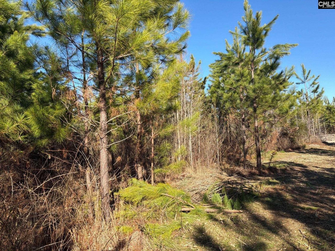 Bff II 6 Brunson Teal Road Photo 18