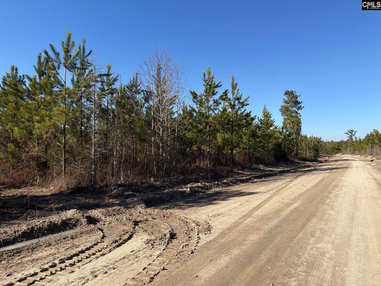 Bff II 6 Brunson Teal Road Photo 19