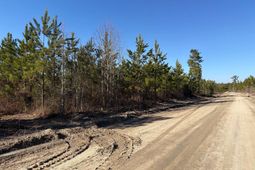 Bff II 6 Brunson Teal Road photo 4