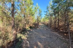 Bff II 6 Brunson Teal Road photo 4