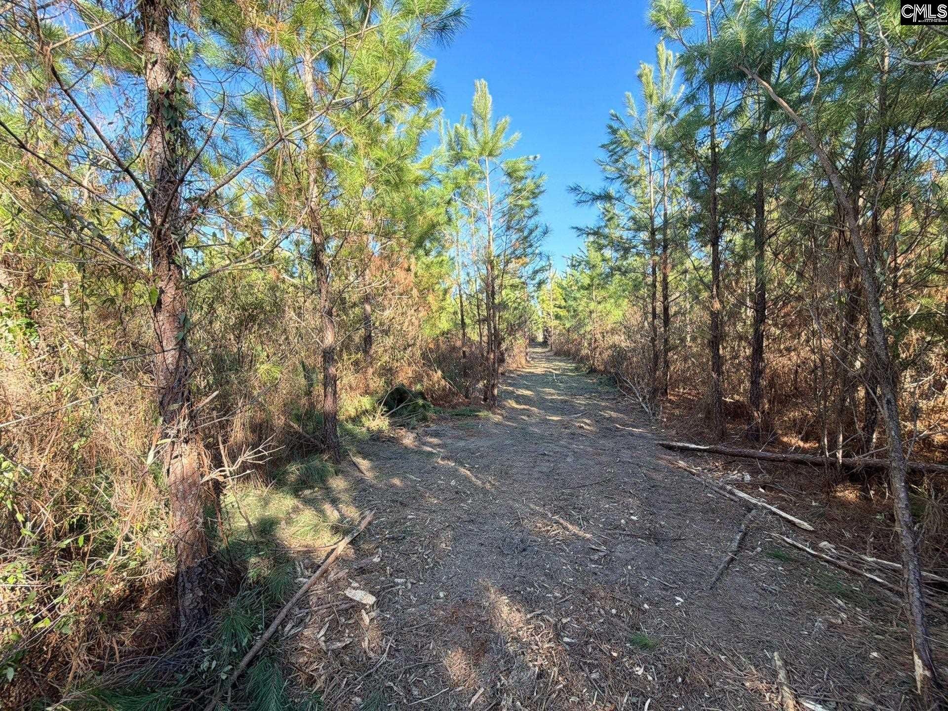 Bff II 6 Brunson Teal Road Photo 4