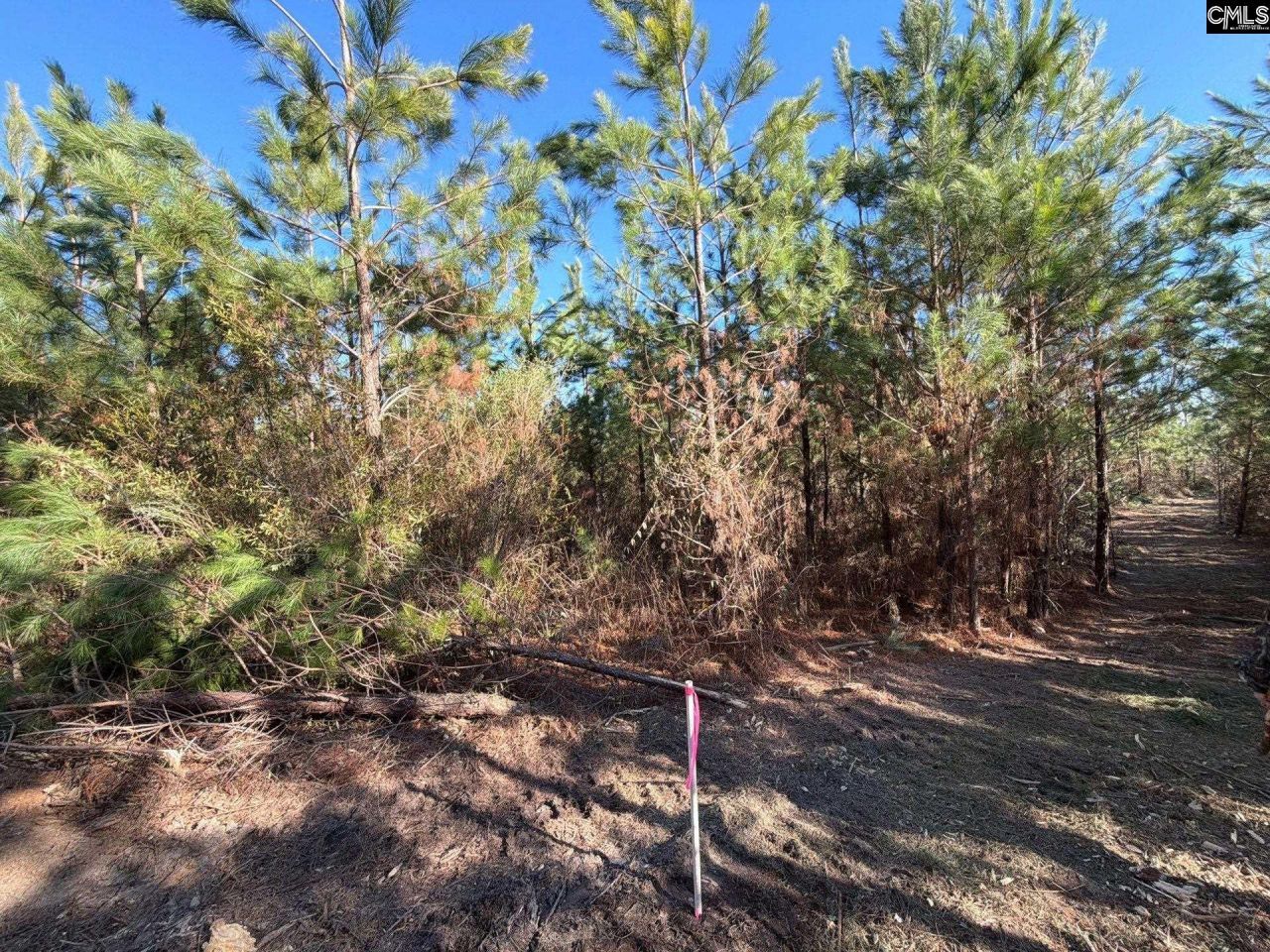 Bff II 6 Brunson Teal Road Photo 4