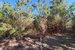 Bff II 6 Brunson Teal Road photo 4