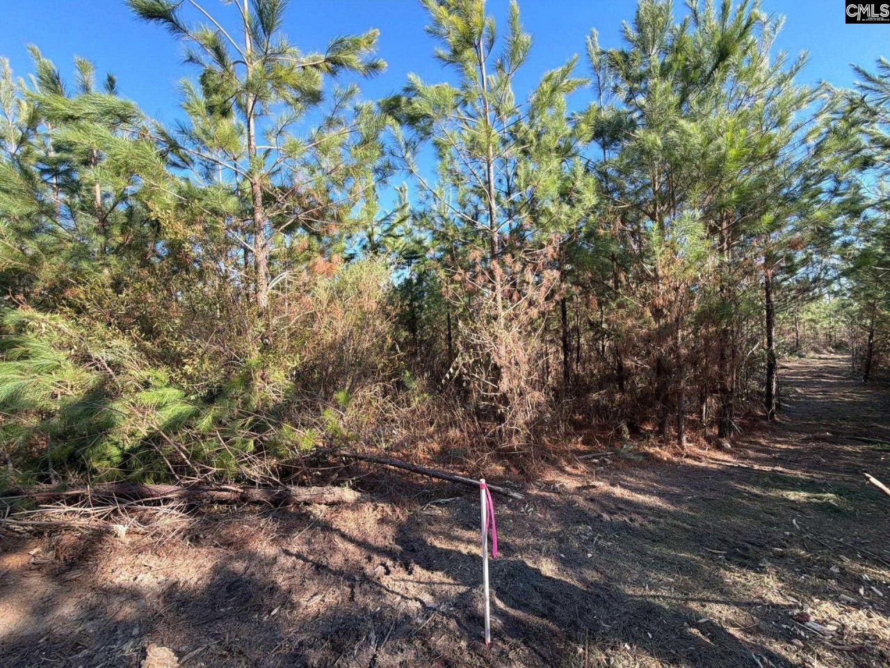 Bff II 6 Brunson Teal Road Photo 5