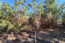 Bff II 6 Brunson Teal Road photo 4