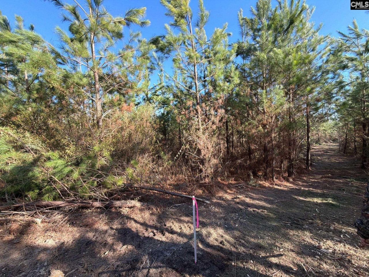 Bff II 6 Brunson Teal Road Photo 6