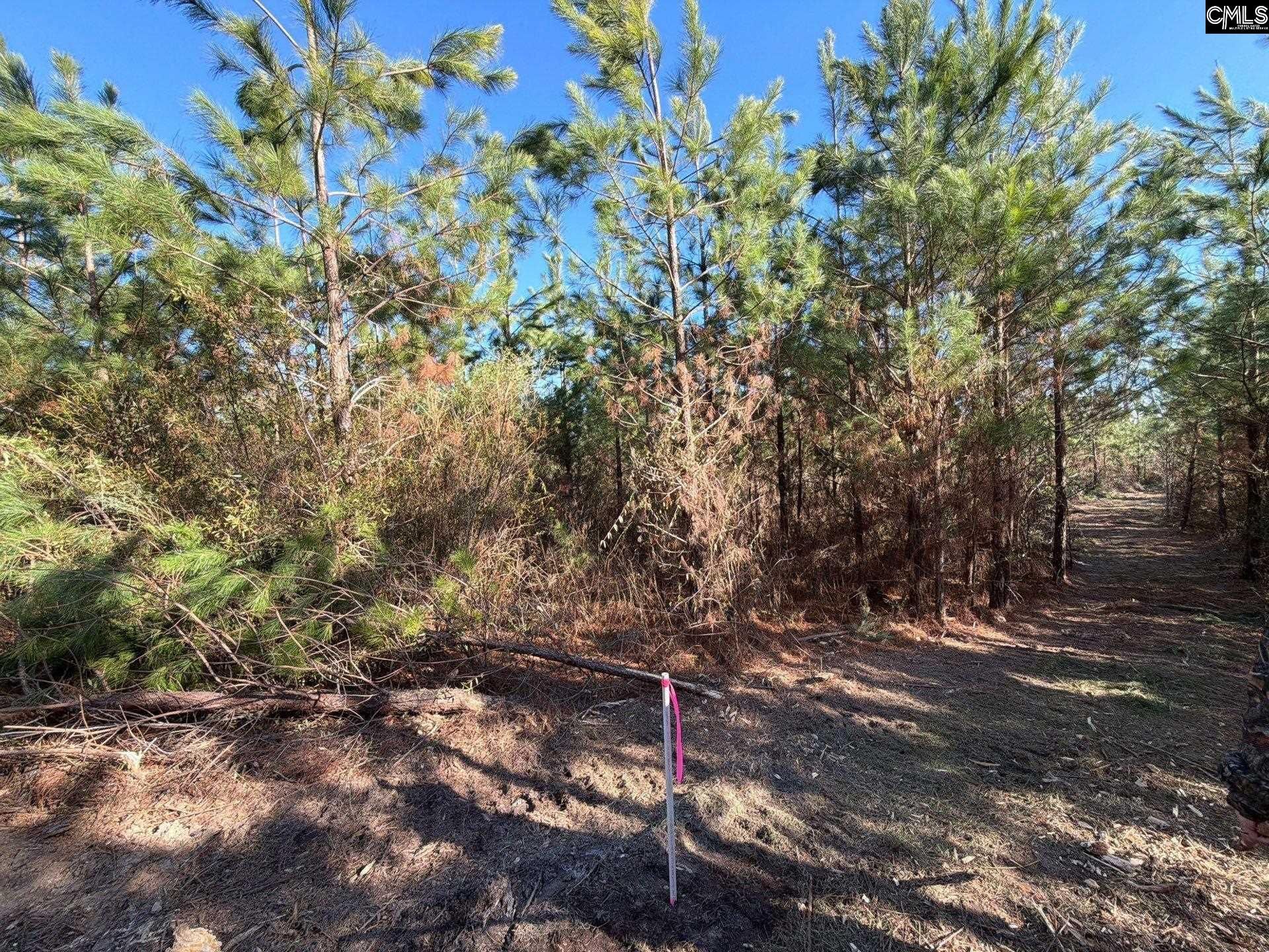Bff II 6 Brunson Teal Road Photo 7