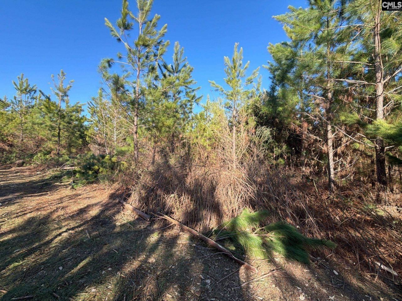 Bff II 6 Brunson Teal Road Photo 7