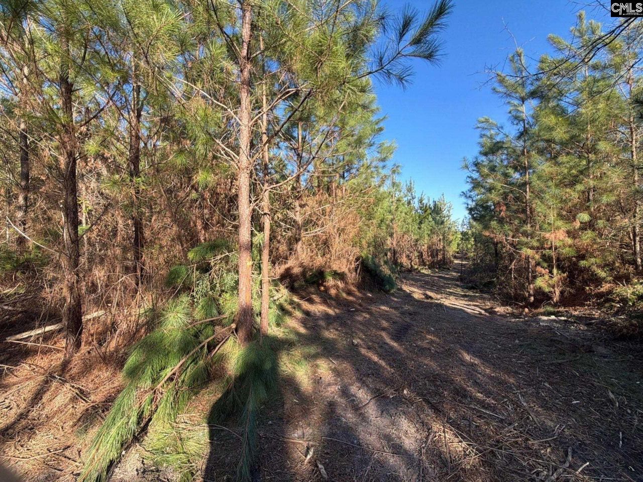 Bff II 6 Brunson Teal Road Photo 9