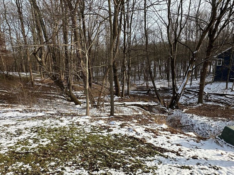 0 Crestrose Drive, Howard, OH 43028 Photo 2