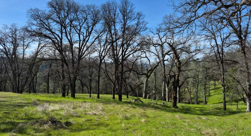 7411 Riverbend Dr, Placerville, CA 95667 Photo