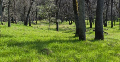 7411 Riverbend Dr, Placerville, CA 95667 Photo