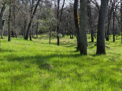 7411 Riverbend Dr, Placerville, CA 95667 Photo