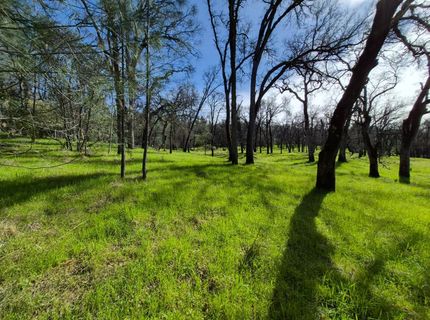 7411 Riverbend Dr, Placerville, CA 95667 Photo