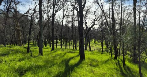 7411 Riverbend Dr, Placerville, CA 95667 Photo