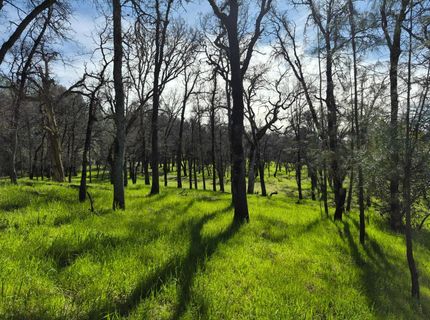 7411 Riverbend Dr, Placerville, CA 95667 Photo
