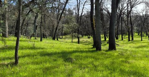 7411 Riverbend Dr, Placerville, CA 95667 Photo