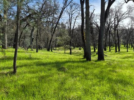 7411 Riverbend Dr, Placerville, CA 95667 Photo