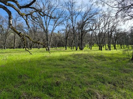 7411 Riverbend Dr, Placerville, CA 95667 Photo