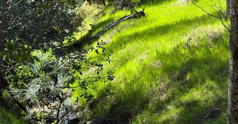 7411 Riverbend Dr, Placerville, CA 95667 Photo