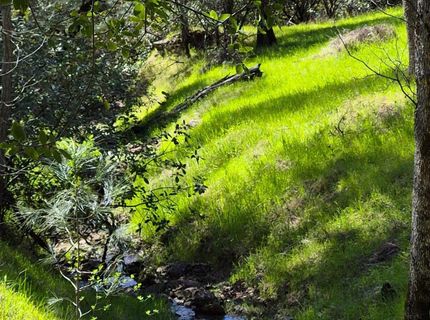 7411 Riverbend Dr, Placerville, CA 95667 Photo