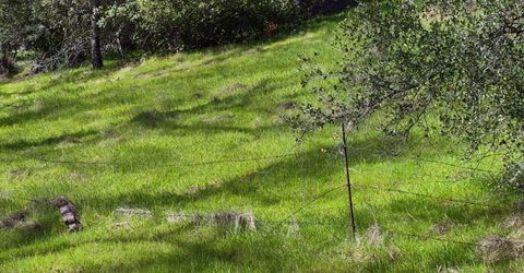 7411 Riverbend Dr, Placerville, CA 95667 Photo