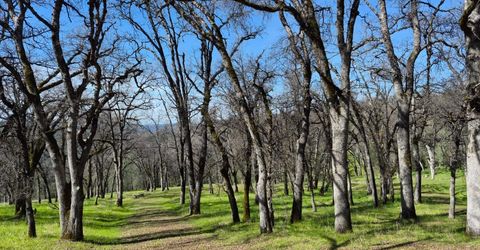 7411 Riverbend Dr, Placerville, CA 95667 Photo