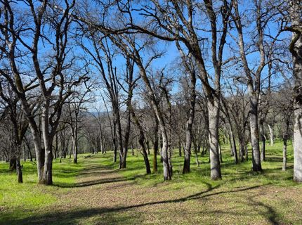 7411 Riverbend Dr, Placerville, CA 95667 Photo
