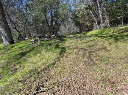 7411 Riverbend Dr, Placerville, CA 95667 Photo