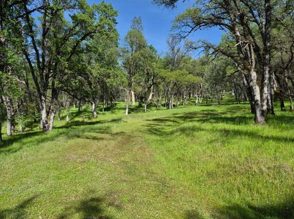 7411 Riverbend Dr, Placerville, CA 95667 Photo