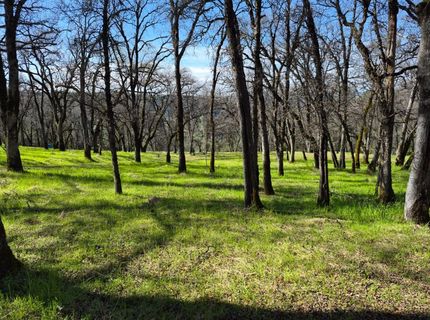 7411 Riverbend Dr, Placerville, CA 95667 Photo