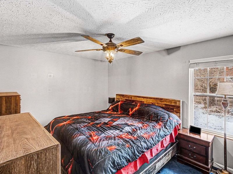 1194 Fallbrook Drive, Elsmere, KY 41018 Photo 9