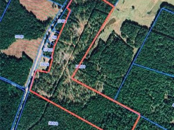 FM 839 S FM-839 P-37, Henderson, TX 75654