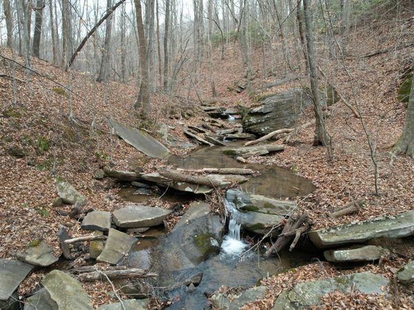 0 Carson DR , Ferrum, VA 24088